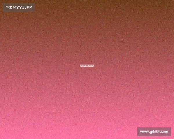 体育赛事申办报告流程