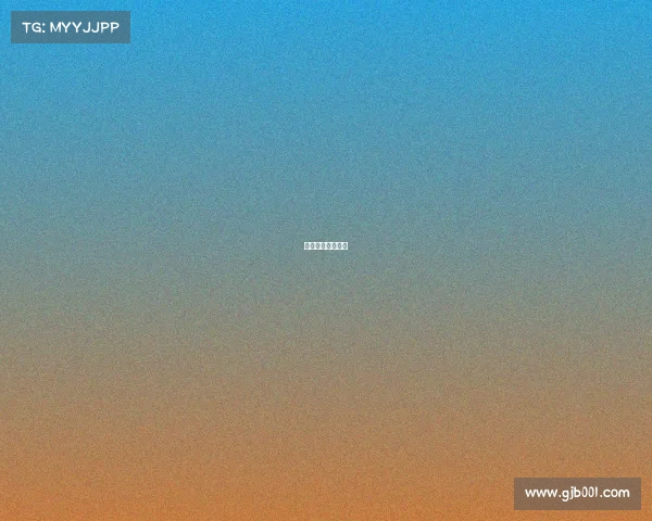 体育赛事承办流程