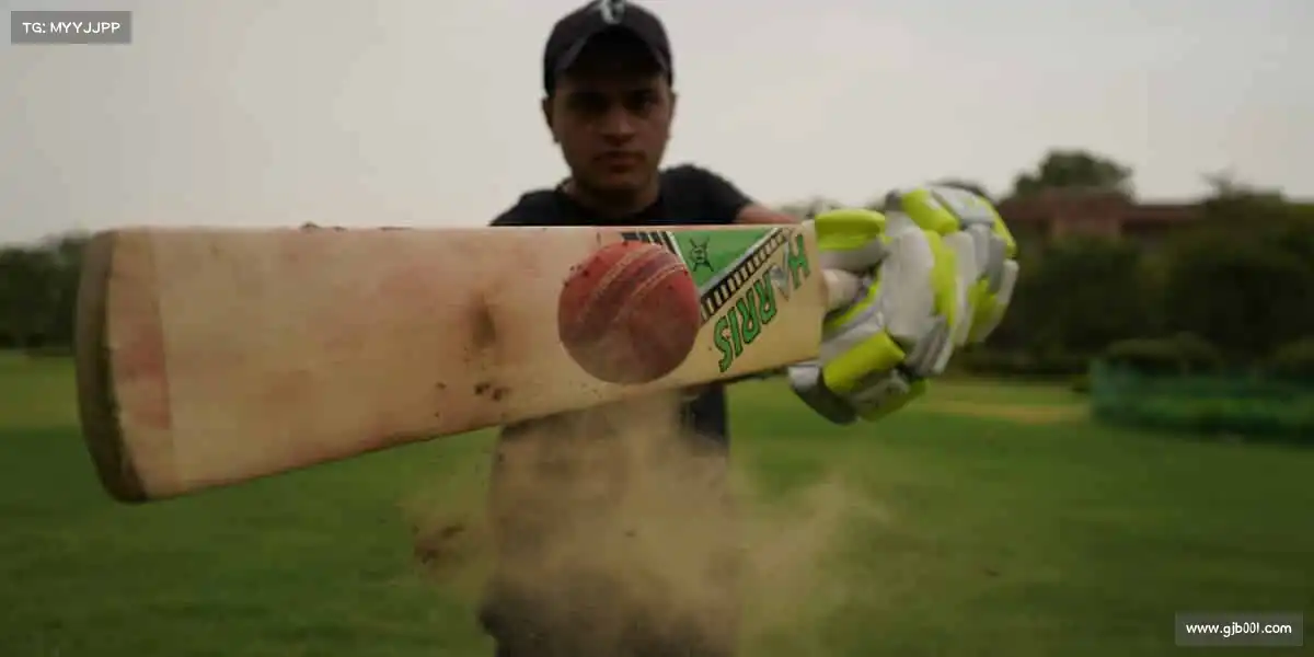 bb贝博——徒步旅行，探索自然🌿